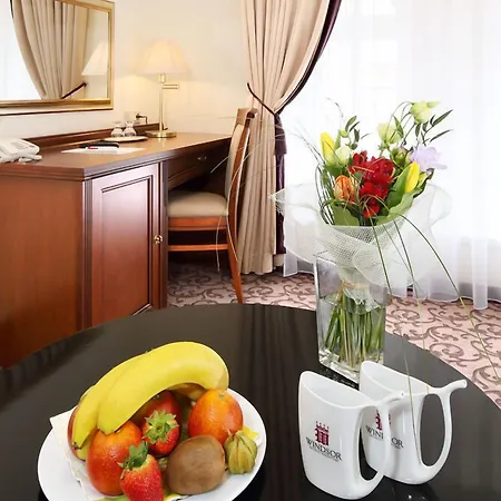 Windsor 4* كارلوفي فاري