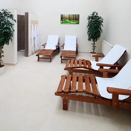 Windsor فندق كارلوفي فاري