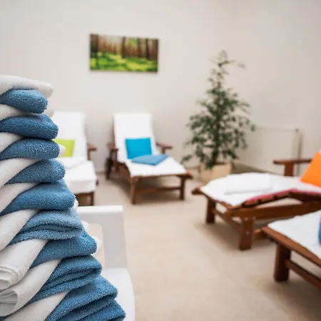 Windsor فندق كارلوفي فاري