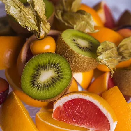 Windsor كارلوفي فاري