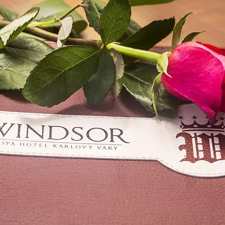 Windsor Κάρλοβι Βάρι